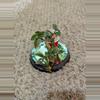 plant/Rainbow Tradescantia #185-1-thumbnail