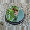 plant/Hoya Krinkle #186-1-thumbnail