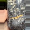 plant/Jungle Fever Yellow-2-thumbnail