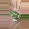 plant/Philodendron Cream Splash-0-thumbnail
