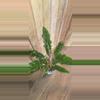 plant/Philodendron Ring of Fire-0-thumbnail