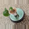 plant/Syngonium NOID baby #184-1-thumbnail