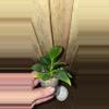 plant/Philo Rojo Congo pups-1-thumbnail