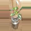 plant/White Princess Philodendron-1-thumbnail