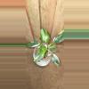 plant/White Princess Philodendron-0-thumbnail