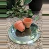 plant/10 Mini 1" Terracotta pots-1-thumbnail