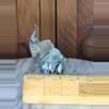 plant/Glass elephant figurine-4-thumbnail