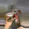 plant/Philodendron pink princess💕#0009-0-thumbnail