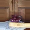 plant/Purple Glass Pitcher-1-thumbnail