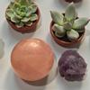 plant/Reserve for E ♥️-0-thumbnail