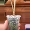 plant/Alocasia Polly 💕-2-thumbnail