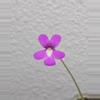 plant/Pinguicula Gypsicola x Sethos-2-thumbnail