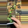plant/#243 Lacunosa My Little Runaway-0-thumbnail