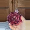 plant/Purple Glass Pitcher-4-thumbnail