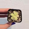 plant/Pinguicula Gigantea x Cyclosecta-0-thumbnail