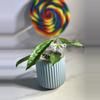 plant/Hoya decipulae-2-thumbnail