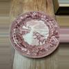 plant/#46 — Wedgwood “Winter Scene – Fort Ticonderoga” 9” Plate-0-thumbnail