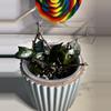 plant/Lacunosa Black Silver-1-thumbnail