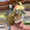 plant/Micans variegated ✨#0007-7-thumbnail