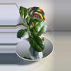 plant/Hoya Viola-0-thumbnail