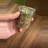 plant/Philodendron Heartleaf Variegated-1-thumbnail