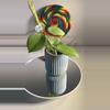 plant/RHM 24167 AL 12 Swiffer’s Mood OP-0-thumbnail