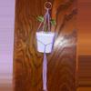 plant/Macrame Plant Hanger Bundle of 3-1-thumbnail