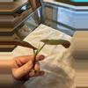 plant/Philodendron ernestii red form top cutting-1-thumbnail