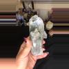plant/Clear quartz cluster C with chlorite-0-thumbnail