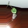 plant/Green Frydek-1-thumbnail
