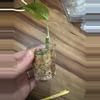 plant/Monstera Adansonii Aurea-1-thumbnail