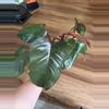plant/Philodendron Orange Princess-1-thumbnail