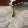 plant/Philodendron ernestii red form top cutting-2-thumbnail