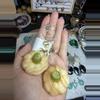 plant/Jessica Marie-0-thumbnail