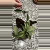 plant/Hoya nova ghost-0-thumbnail