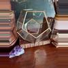 plant/Vintage Geometric Glass Display Box-1-thumbnail