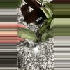 plant/Hoya nova ghost-5-thumbnail