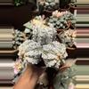 plant/Astrophytum Super Kabuto 3 heads 4" pot-4-thumbnail