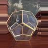 plant/Vintage Geometric Glass Display Box-2-thumbnail