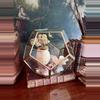 plant/Vintage Geometric Glass Display Box-0-thumbnail