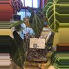 plant/Tree Fern Potting Mix - Large (32 oz)-0-thumbnail
