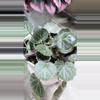 plant/Begonia strawberry.-2-thumbnail