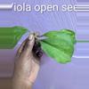 plant/Hoya Viola open seed cuttings-0-thumbnail