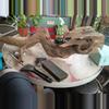 plant/Raw driftwood Sea Beast-0-thumbnail
