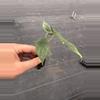 plant/Alocasia venusta starter plant growers choice-5-thumbnail