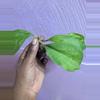 plant/Hoya Viola open seed cuttings-1-thumbnail