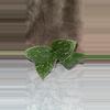 plant/Scindapsus pictus-0-thumbnail