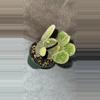 plant/Bunny ear cactus-3-thumbnail