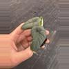 plant/Alocasia chaii starter plant growers choice-4-thumbnail