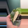 plant/Alocasia Pink Pseudo Sanderiana-0-thumbnail